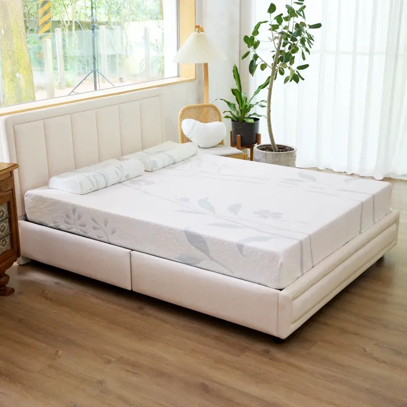 TENDAYS葉蔓緣雙面兩用紓壓床