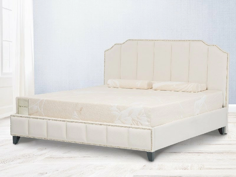 禮讚母親節 Happy Mother's Day 臻愛獻禮 溫馨謐境 禮讚母親節 Happy Mother's Day 臻愛獻禮 溫馨謐境