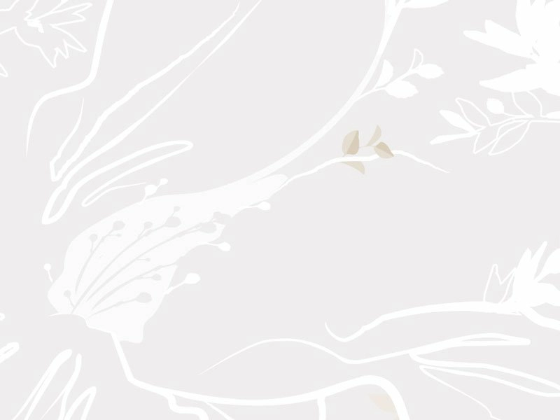 擁抱美感生活 藝術典藏系列《克洛莉思》 擁抱美感生活 藝術典藏系列《克洛莉思》