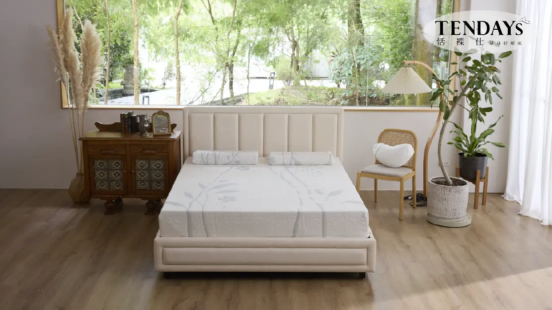 TENDAYS 週年慶開跑 兩大美學系列耀眼問世 TENDAYS 週年慶開跑 兩大美學系列耀眼問世