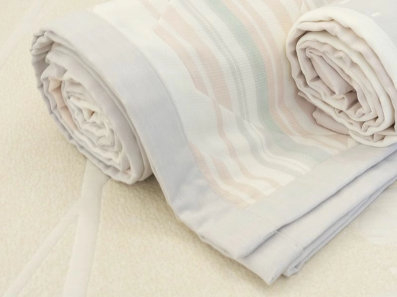 氧化鋅抗菌天然棉蓋毯