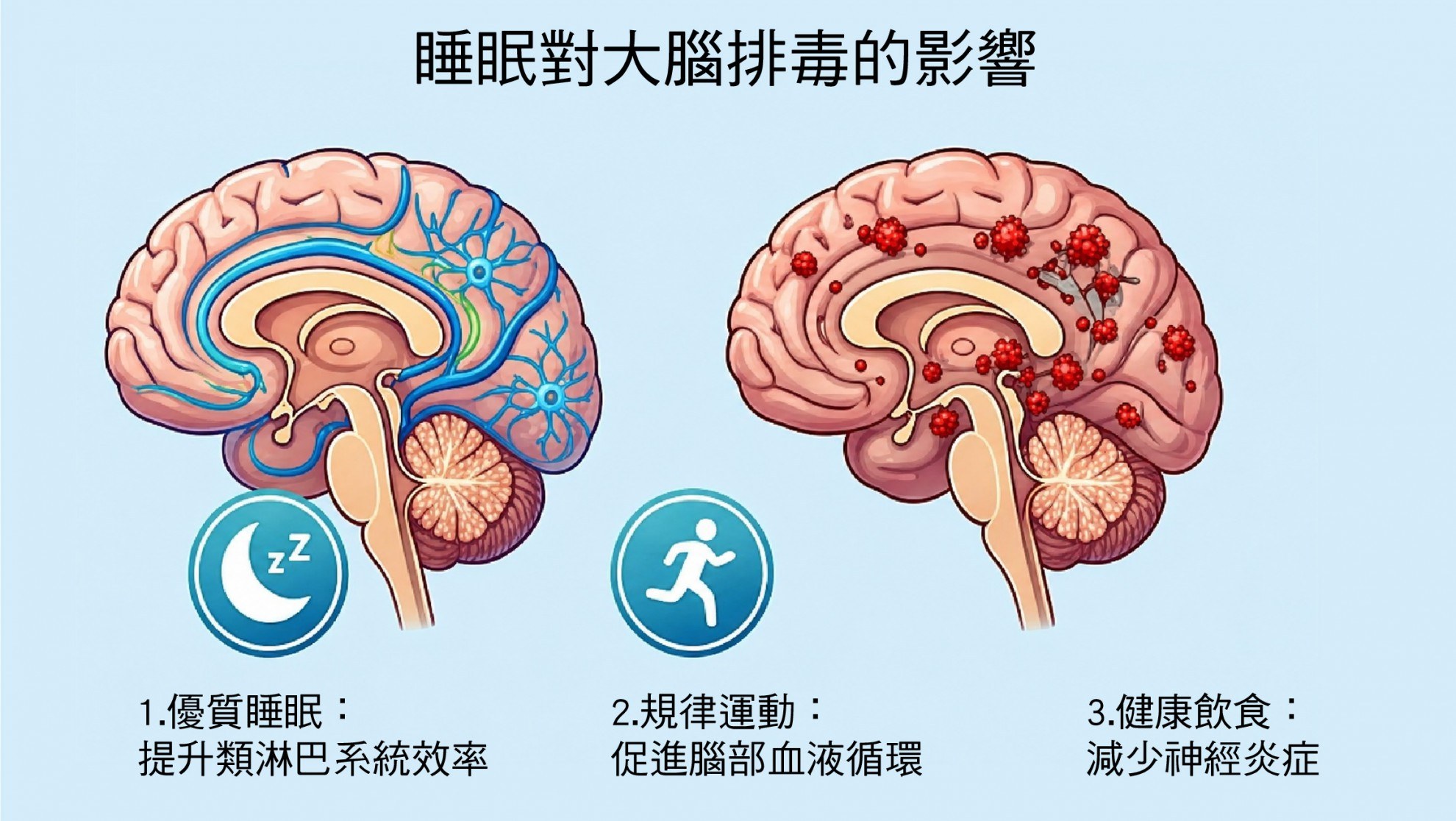 【睡眠行為學】深夜的靈魂告白：從睡姿解密你的「心理壓力」與「生理修復」