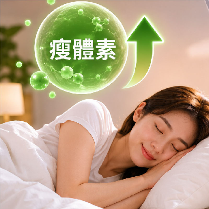 睡眠不足真的會變胖嗎？認識睡眠、食慾荷爾蒙與體重管理的關係