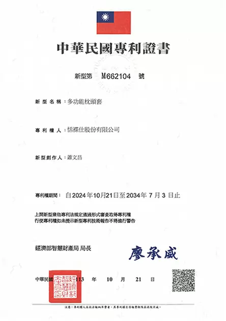 TENDAYS 健康隨身枕